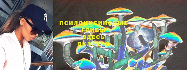 Альфа ПВП Бугульма