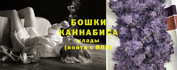 Альфа ПВП Бугульма