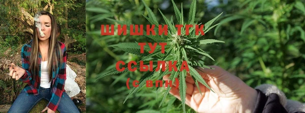 скорость mdpv Бородино